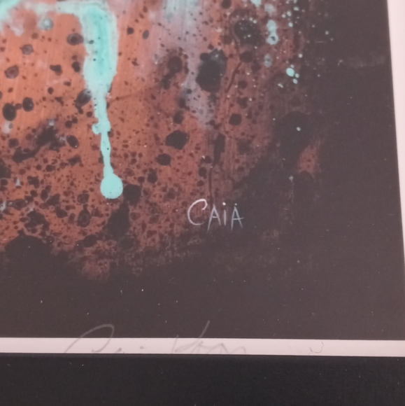 Rare Limited Edition Caia Koopman Signed And Numbered Art Framed Print. - Picture 4 of 11